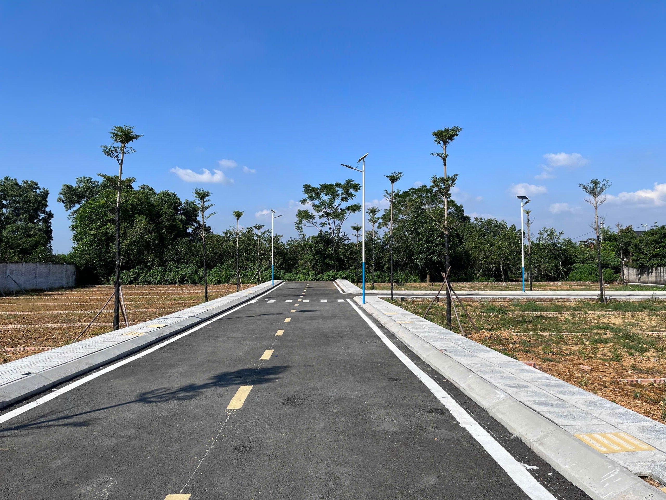 Hình ảnh thực tế dự án