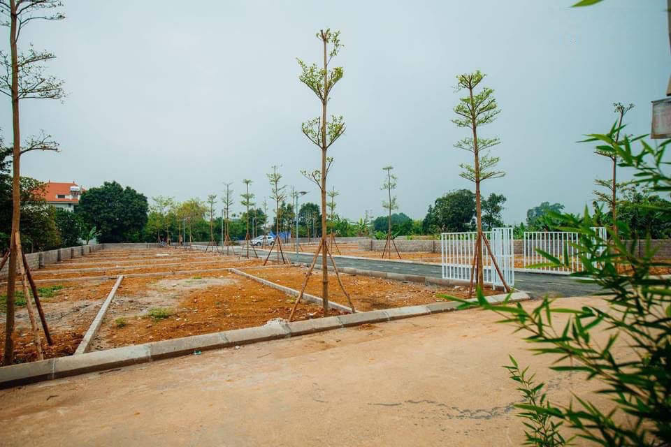 đất nền đồng trạng