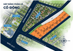 21 LÔ ĐẤT NỀN ĐỒNG TRẠNG