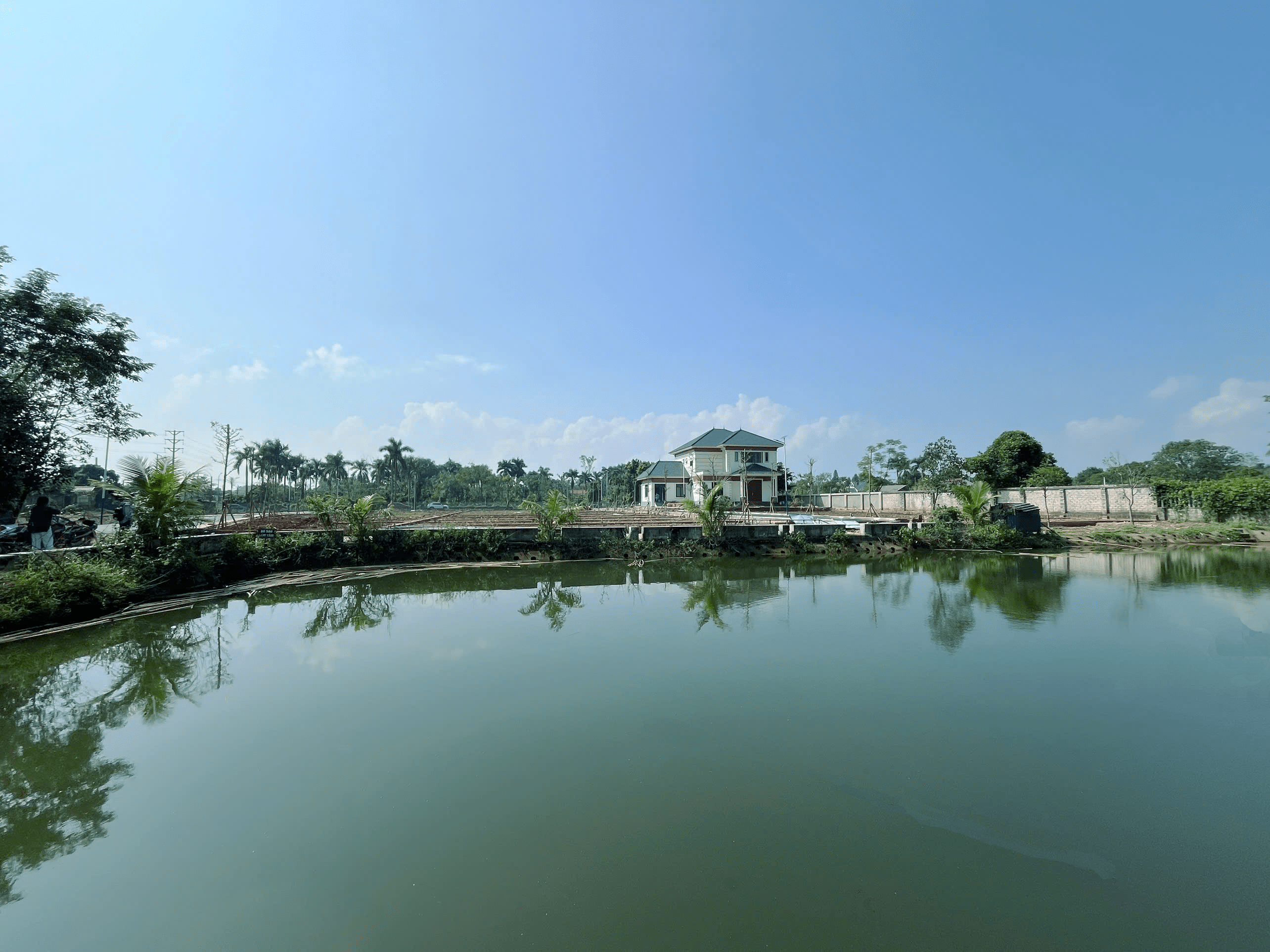view ho 8